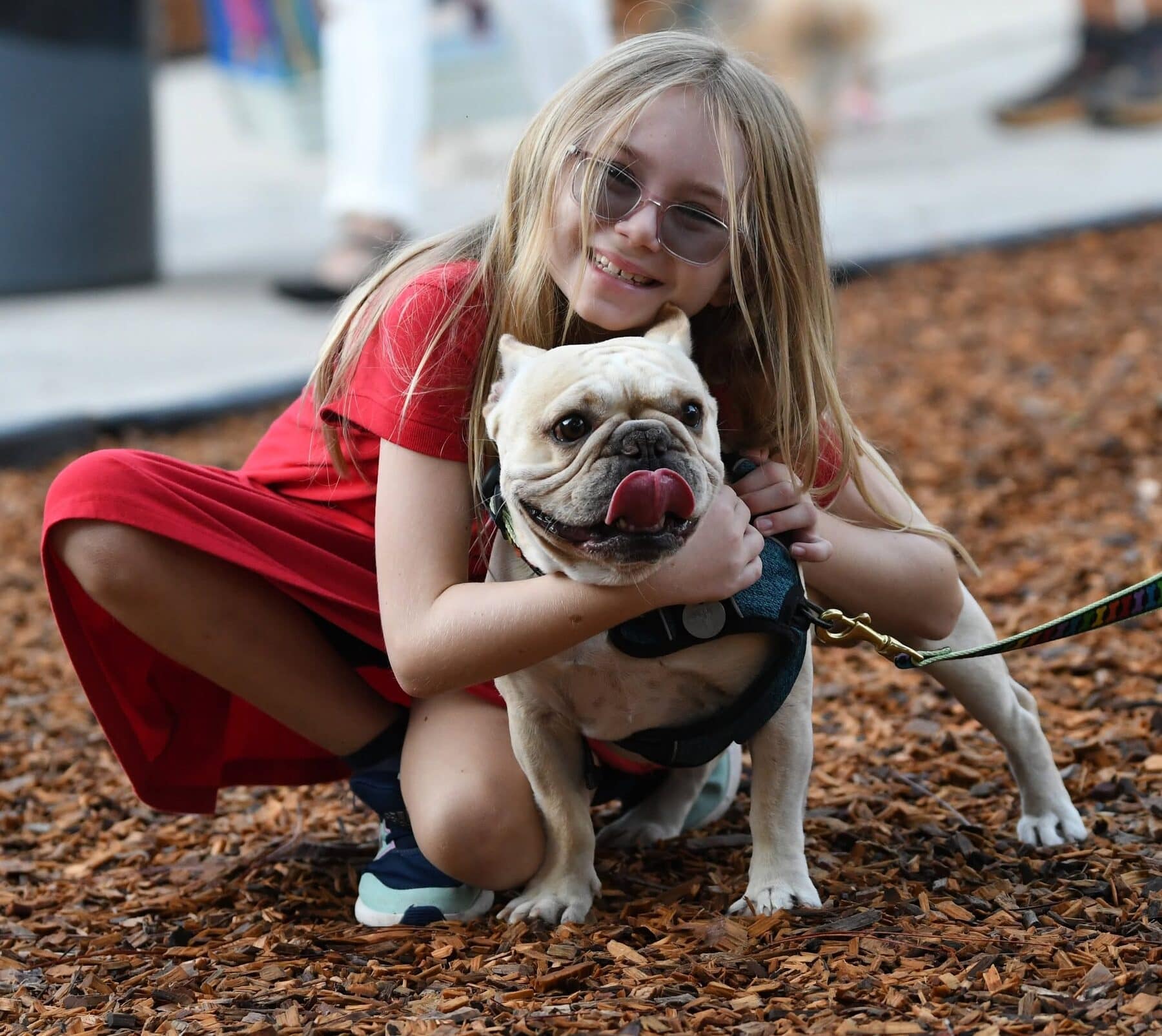 A student embracing a bulldog during a school gathering.
