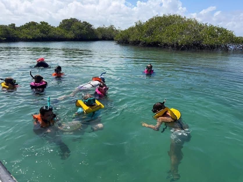 Students snorkeling in tropical waters