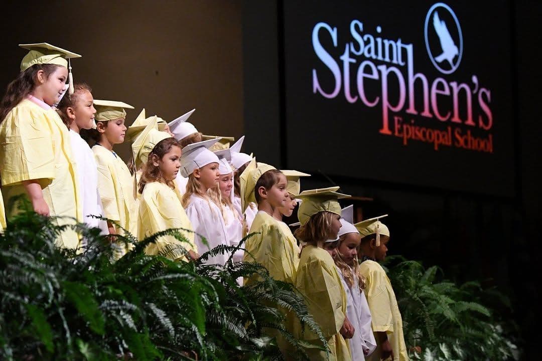 Fledglings sing