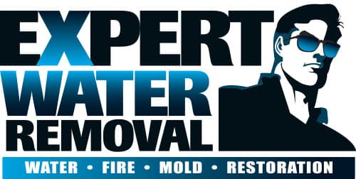 Expert Water Removal