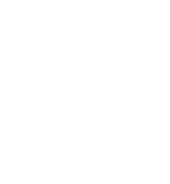 basketball icon
