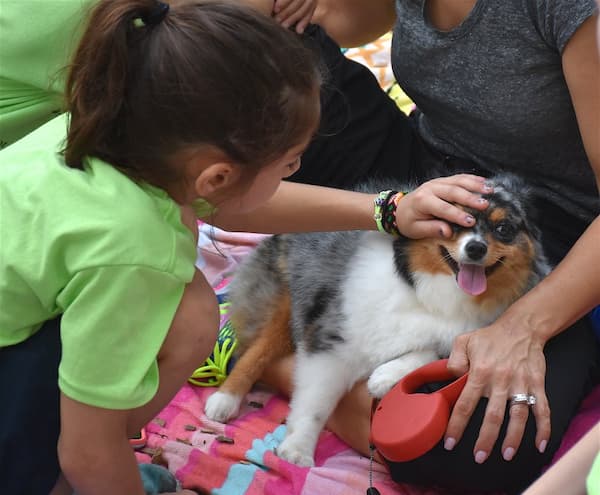 Student petting a dog