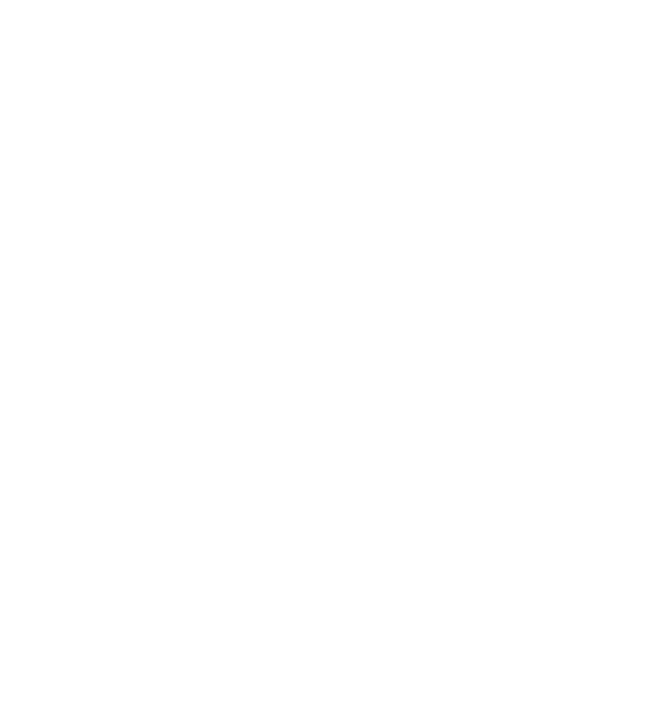crosscountry icon