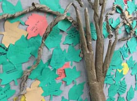 Photo of the Middle School kindness tree