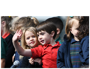 Our Promise