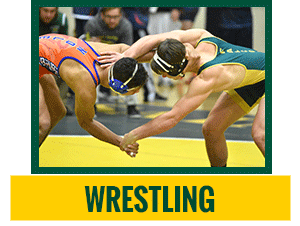 Wrestling