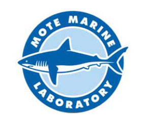 Mote Marine