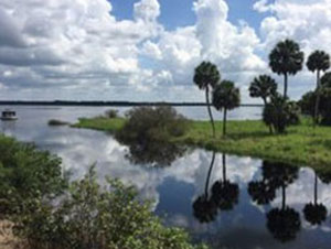 Photo of Myakka River State Park