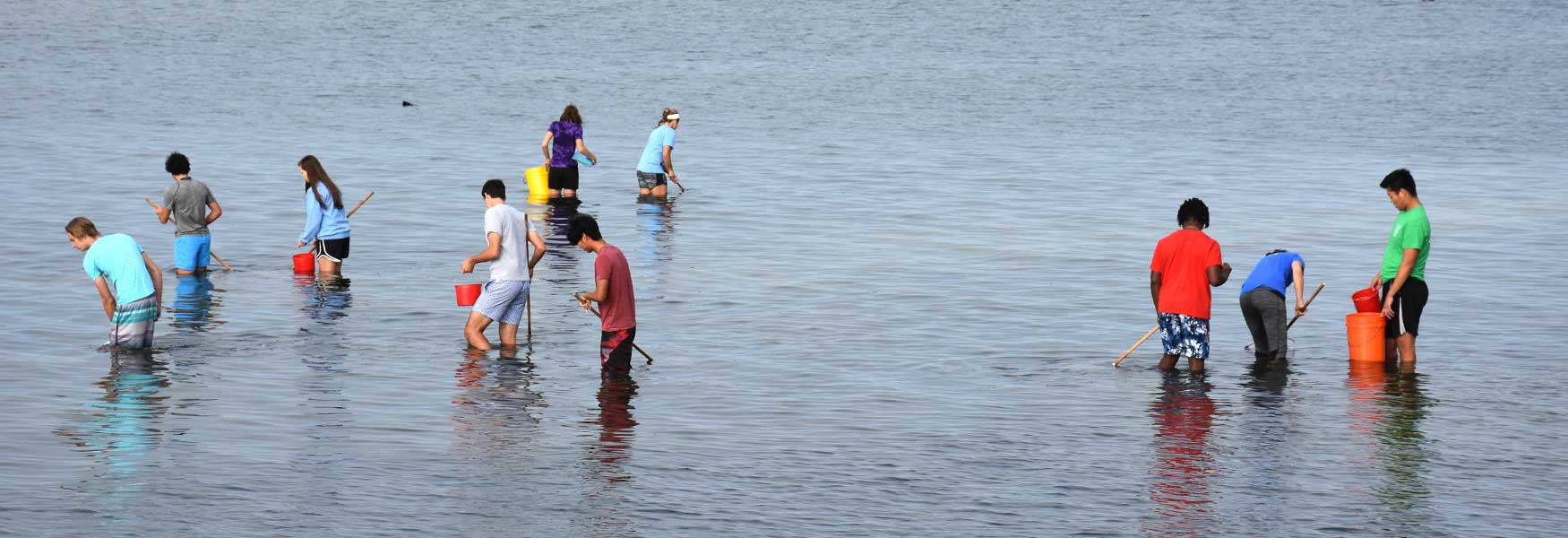 Students gathering specimens