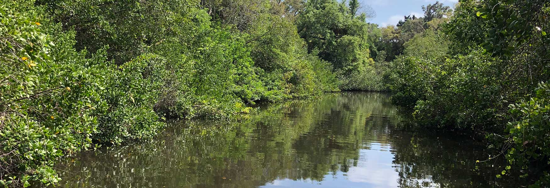 Photo of a canal